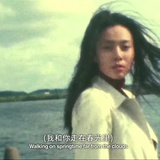 捞月亮的人