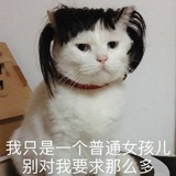 半亩方塘