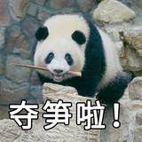 小可爱