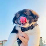 胆小鬼🌱