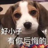 师姐再爱我一次