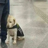 mômô