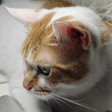 太阳照常升起☀