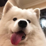 一起看日落吧