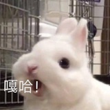佛系老年人