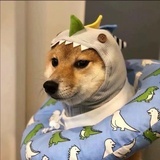 把酒。