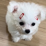 한여름