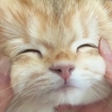 银河的起源