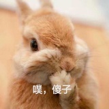 你有病吧你