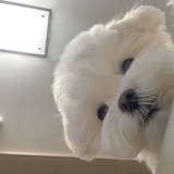 拒绝精致碳水