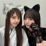 蓬松就是你的错