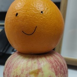 没没
