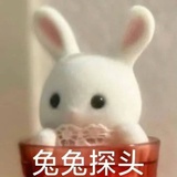 想做一只乐高🐱