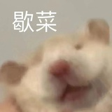 早睡不早起