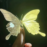 🦋🦋🦋