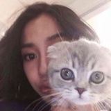 Asibi