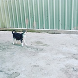 快樂的酒