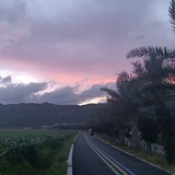 奶黄包jj