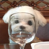 潘金莲莲有余