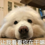 夏末