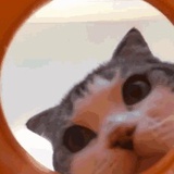 偷偷看一眼