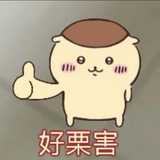 霹雳单马尾