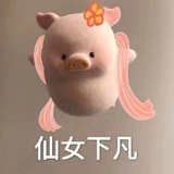 笨蛋穿秋裤