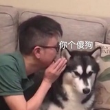 暗夜精灵