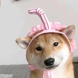给你一皮坨