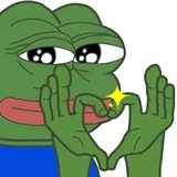 zytwaslygsb