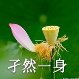 空谷幽兰