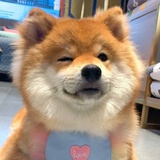 biubiu~