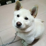 秋梁