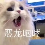 查无此人