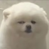 静默笔记