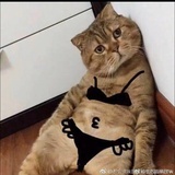 在水一方