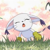 テイルモン