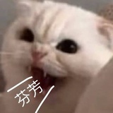 太玄了吧