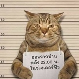 这这这