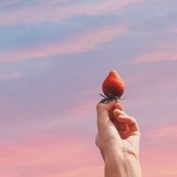 清欢自得