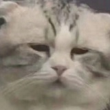 你居然