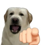 冰西瓜