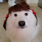 ZDzjjyh