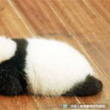 云途旅者