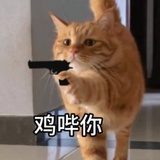 随便吧