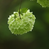 大家一起淋雨吧