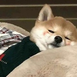 明明绝配