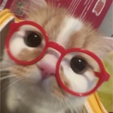 鸭鸭梅子煲