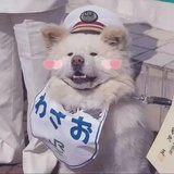 长安某