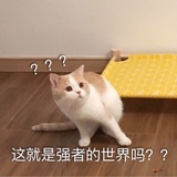 不熬夜就不熬夜